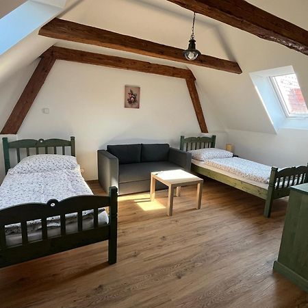 Apartmany Statek Bezdedice Hostomice Extérieur photo