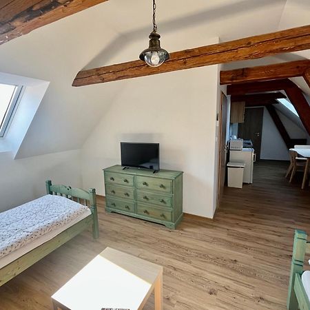 Apartmany Statek Bezdedice Hostomice Extérieur photo