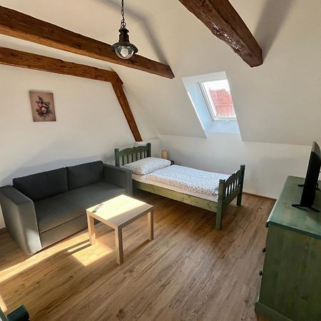 Apartmany Statek Bezdedice Hostomice Extérieur photo