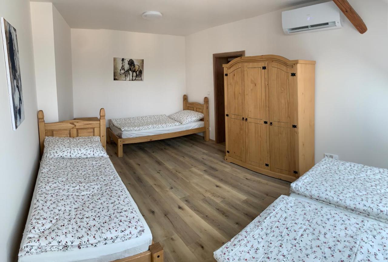 Apartmany Statek Bezdedice Hostomice Extérieur photo
