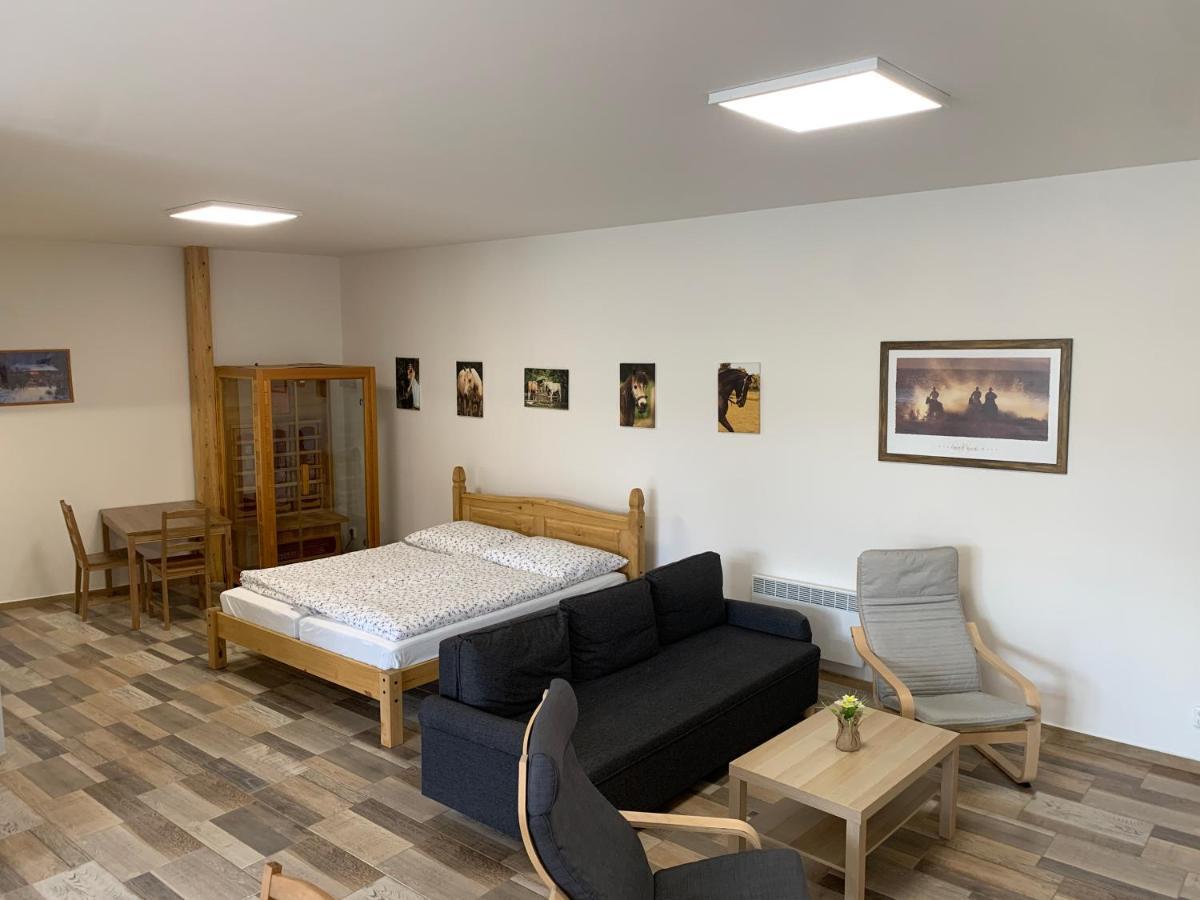 Apartmany Statek Bezdedice Hostomice Extérieur photo