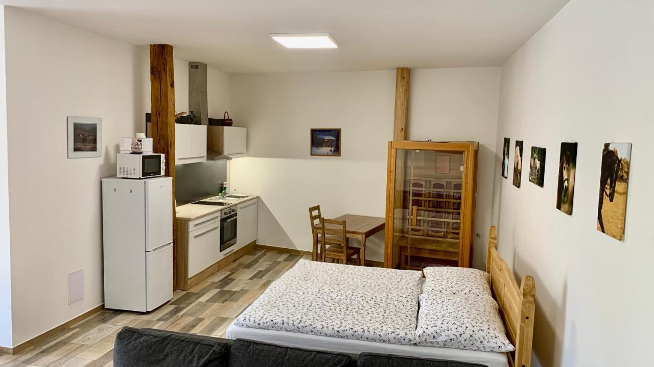 Apartmany Statek Bezdedice Hostomice Extérieur photo
