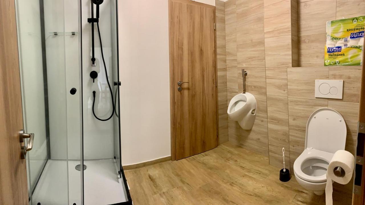 Apartmany Statek Bezdedice Hostomice Extérieur photo