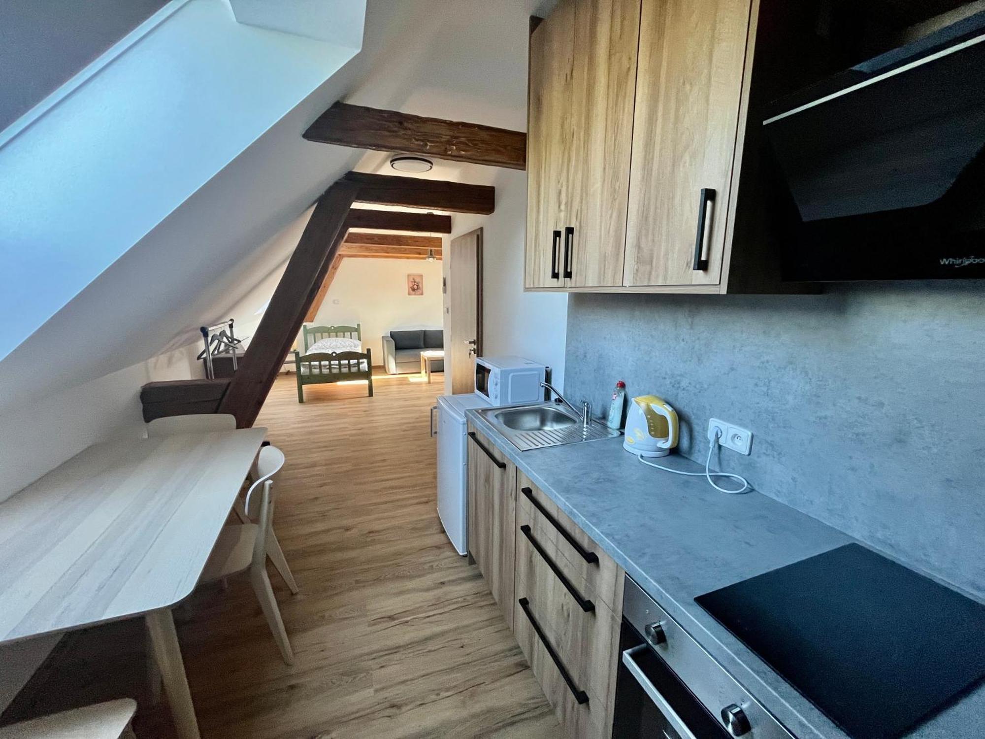 Apartmany Statek Bezdedice Hostomice Extérieur photo